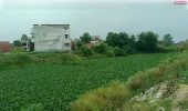 जलकुंभी गंदगी से पटी हुई तमसा ले रही अन्तिम सांसे, जिम्मेदार मौन 