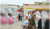 सांसद एवं  विधायकगण के द्वारा किया गया पौधरोपण।