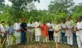 विश्व पर्यावरण दिवस पर दुद्धी विकास खंड में हजारों पौधे  किये गये रोपड़ 
