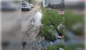 नगर निगम विस्तार के बाद भी शिक्षक कॉलोनी विकास से वंचित,