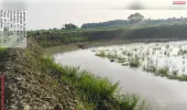 ग्राम पंचायत पखेरी में मनरेगा कार्यों में फर्जीवाड़े का आरोप, ग्रामीणों में आक्रोश