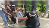 महूघाट-अमारी रोड पर नीलगाय का आतंक: बाइक सवार पति-पत्नी घायल, 1 महीने में 5 हादसे, ग्रामीणों ने की शिकायत