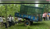 बाघ ने वनविभाग की टीम को खूब दिया चकमा बदला स्थान 