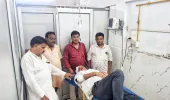बारावफात के जुलूस में बेकाबू घोड़े का कहर,कई दर्जन लोग घायल