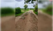 छह किलोमीटर सड़क के निर्माण के लिए 26 वर्षों से ग्रामीण कर रहे रहनुमा का इंतजार