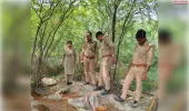 आबकारी विभाग की छापेमारी, 44 लीटर अवैध कच्ची शराब बरामद