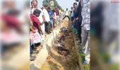 डिवाइडर से टकराकर नाले में गिरी बाइक, तीन युवकों की मौत