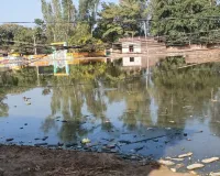 ग्राम समाज की जमीन पर लगातार जलभराव से फैल रहे संक्रामक रोग