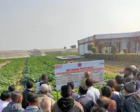 आलू प्रौद्योगिकी केन्द्र की उन्नत किस्में अब गुजरात के लोगों का आहार बनेेंगी
