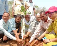 विंध्य वाटिका विजयपुर में हुआ पौधा रोपण, सुरक्षा और संरक्षा का लिया संकल्प