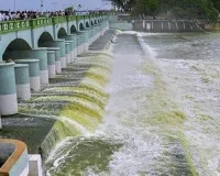 कावेरी जल विवाद में भाजपा का हस्तक्षेप, पानी रोकने का दबाव बना रही है: DMK 