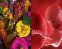सिंथेटिक रंगों से गर्भस्थ शिशु के स्वास्थ्य को खतर