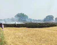 भीषण आग से 20 बीघा गेहूं की फसल जलकर हुई खाक।