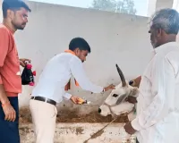 गोपाष्टमी के तहत गौशाला में किया गया गौ माता का पूजन 