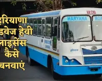 Haryana Roadways License: हरियाणा रोडवेज हैवी लाइसेंस कैसे बनाएं, देखें पूरा प्रोसेस