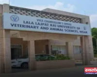 Haryana: हरियाणा में पशुपालकों के लिए लुवास ने दी सलाह, बीमारियों से पशुओं का ऐसे करें बचाव  