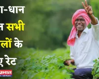 Mandi Bhav: नरमा-धान समेत सभी फसलों के नए रेट जारी, देखें आज के ताजा भाव