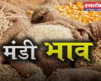 Mandi Bhav: नरमा-धान समेत सभी फसलों के ताजा भाव जारी, देखें आज के नए रेट 