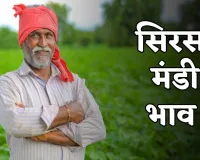 Sirsa Mandi Bhav: हरियाणा की सिरसा मंडी में फसलों के ताजा भाव हुए जारी, यहां देखें	