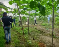  डीएम एवं सीडीओ के मार्गदर्शन में अमेठी के किसानों ने की नवाचार खेती की मिसाल पेश