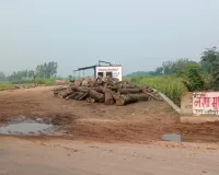 गोण्डा–बहराइच राष्ट्रीय राजमार्ग पर तो हालात और भी गंभीर हैं - यहाँ लकड़ियों के अड्डे खुलेआम संचालित