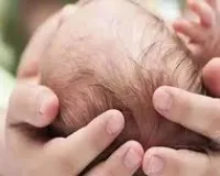 कानपुर के हनुमंत विहार थाना क्षेत्र में नवजात को मुंह में दबाकर ले आया डॉग,