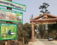 प्रकृति प्रेमियों के लिए खुशखबरी, लखनऊ–दुधवा की यात्रा नवंबर तक अब सिर्फ ₹487 में