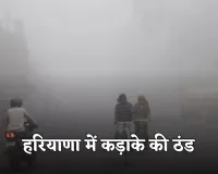 Haryana Weather: हरियाणा में कड़ाके की ठंड, मौसम विभाग ने ये अलर्ट किया जारी 