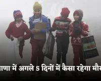 Haryana Weather: हरियाणा में अगले 5 दिनों में कैसा रहेगा मौसम? देखें पूर्वानुमान 