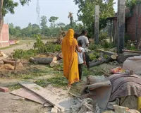 आराजी डूही धरमूपुर मुस्तहकम में बिना परमिट नीम के पेड़ की हुई कटान