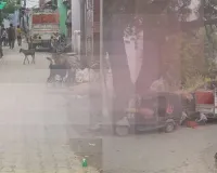 बस्ती शहर में धड़ल्ले से आ रहा प्रतिबन्धित मांस, जानकारी के बावजूद कोतवाली पुलिस निष्क्रिय