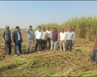 पराली जलाने पर किसानों पर 5 हज़ार का लगा जुर्माना, सैटेलाइट से पुष्टि, कृषि विभाग ने की कार्रवाई