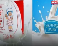 Milk Price Down 2025: अमूल और सरस डेयरी के दूध की कीमतों में आई भारी गिरावट, देखें नई रेट लिस्ट