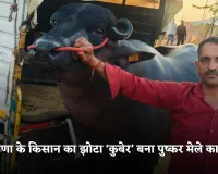 Haryana: हरियाणा के किसान का झोटा ‘कुबेर’ बना पुष्कर मेले का स्टार, 21 करोड़ की लगी कीमत