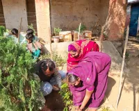 उत्क्रमित मध्य विद्यालय नावाडीह में महात्मा ज्योतिबा फुले की पुण्यतिथि पर श्रद्धांजलि, वृक्षारोपण और जागरूकता कार्यक्रम आयोजित