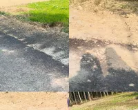 महेज 15 दिन में बनी रोड़ की उखड़ने लगी बजरी।