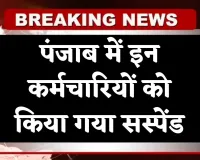 Punjab News: पंजाब में इन कर्मचारियों को किया गया सस्पेंड, जानें क्या है वजह 