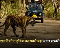 Haryana: हरियाणा में बनेगा दुनिया का सबसे बड़ा जंगल सफारी पार्क, 10 हजार एकड़ में तैयार होगा मेगा प्रोजेक्ट