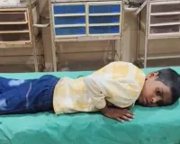 कुशीनगर : पागल कुत्ते ने राहगीरों पर किया हमला, कई लोग घायल