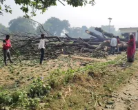 वन विभाग के कर्मचारियों व पुलिस की साठगांठ से प्रतिबंधित पेड़ों को धराशाई कर रहे वन माफिया