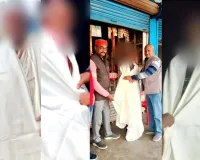 पूर्व जिला पंचायत सदस्य, प्रतिष्ठित व्यवसाई दिनेश कौशल के सौजन्य से जरुरतमंदो मे भेंट किए गए शाल