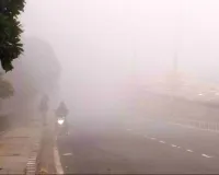 उत्तर भारत - कोहरे के कोहराम से फना होती जिन्दगी ! 