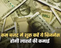 Business Idea: कम बजट में शुरू करें ये बिजनेस, होगी लाखों की कमाई 