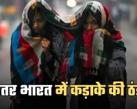 Cold Wave Alert: उतर भारत में कड़ाके की ठंड, शीतलहर का अलर्ट हुआ जारी 