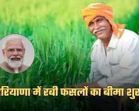 Fasal Bima Yojana: हरियाणा में रबी फसलों का बीमा शुरू, 31 दिसंबर तक करा सकेंगे आवेदन