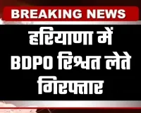 Haryana: हरियाणा में BDPO रिश्वत लेते गिरफ्तार, 50 लाख के बकाया बिलों को पास करने की एवज में मांगी थी रिश्वत