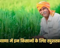 Haryana: हरियाणा में इन किसानों के लिए खुशखबरी, सरकार ने जारी किए 380 करोड़ रुपये 