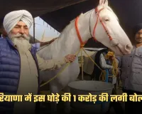 Haryana: हरियाणा में यह घोड़ा बना चर्चा का विषय, 1 करोड़ की लगी बोली 