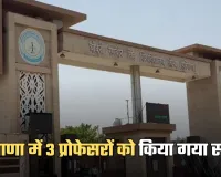 Haryana: हरियाणा में 3 प्रोफेसरों को किया गया सस्पेंड, जानें पूरा मामला 