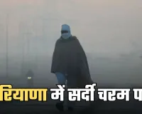 Haryana Weather: हरियाणा में सर्दी चरम पर, तापमान सामान्य से 3.4°C नीचे
